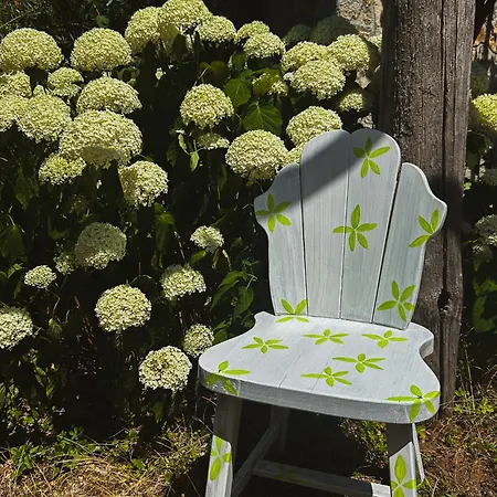 Vintage House Podliparska