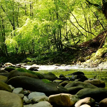 Landsted Vintage House Podliparska