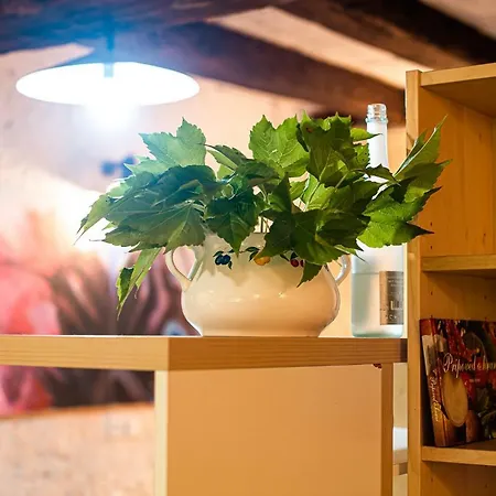 Vintage House Podliparska カントリーハウス Fara