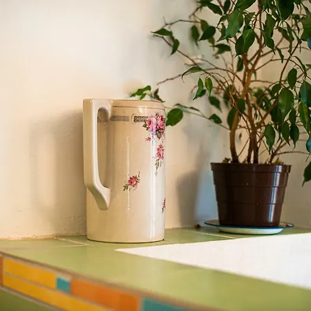 Kır Evi Vintage House Podliparska