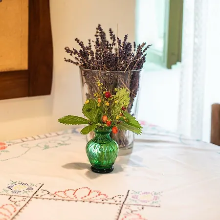 Vintage House Podliparska カントリーハウス Fara