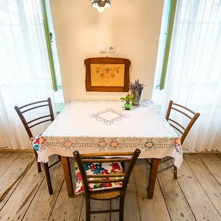 Vintage House Podliparska