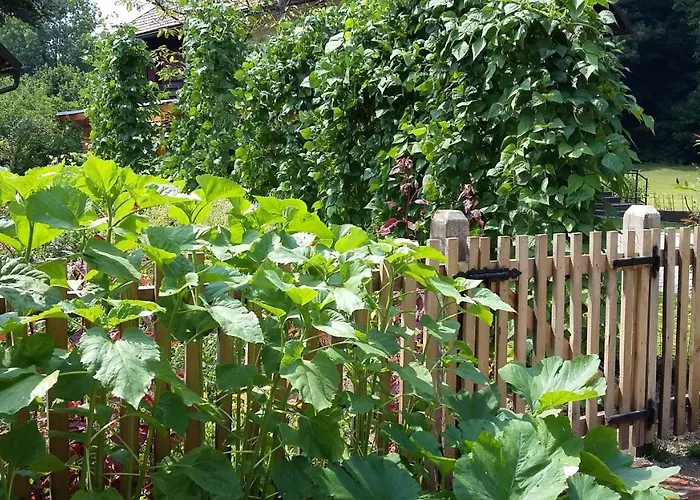 Летний дом Vintage House Podliparska Fara