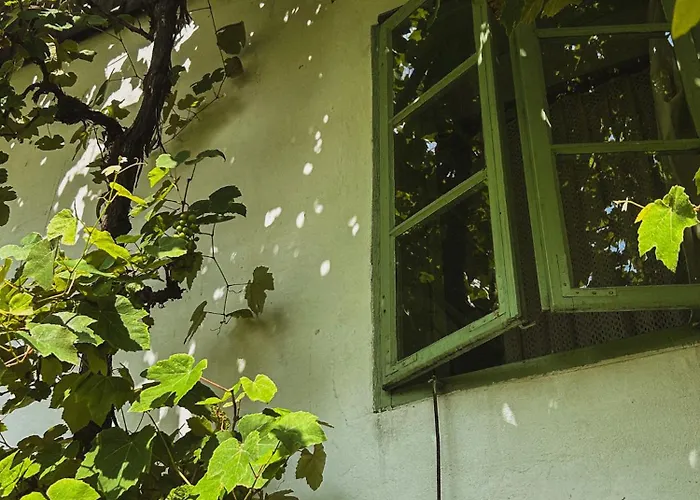 Vintage House Podliparska *