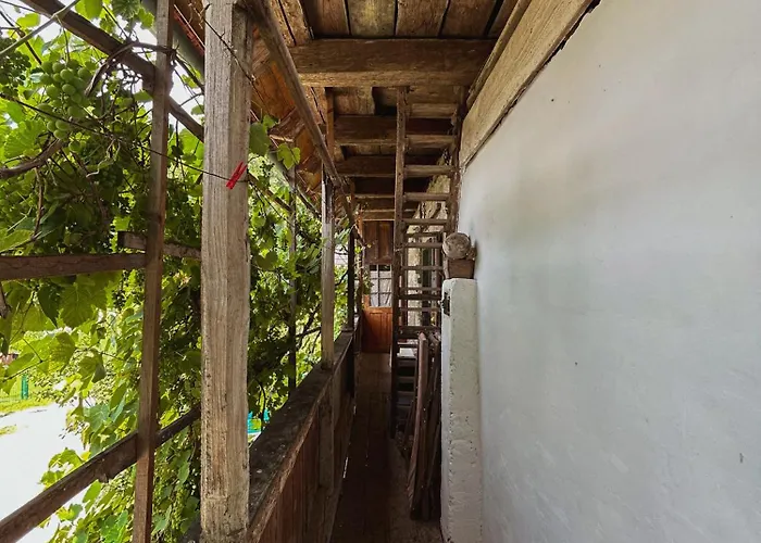 Vintage House Podliparska