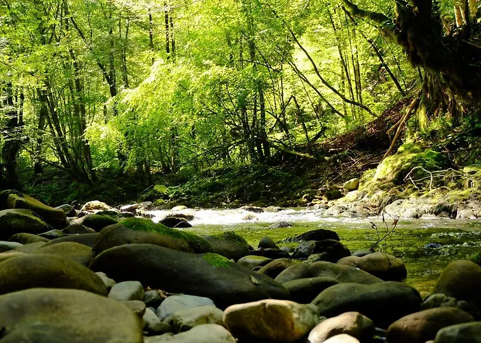 Летний дом Vintage House Podliparska