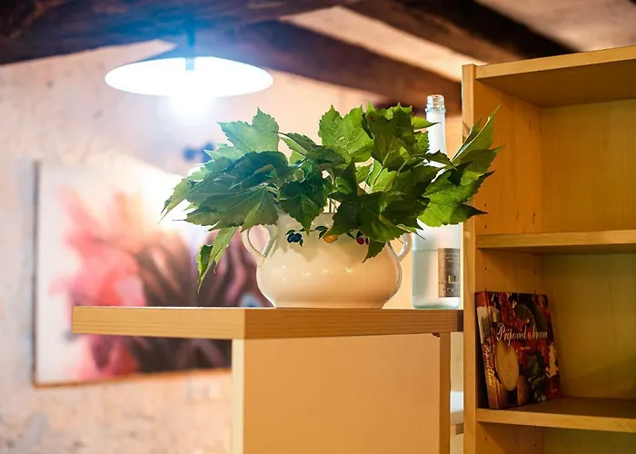 Vintage House Podliparska Летний дом Fara